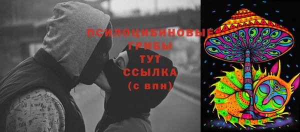 дурь Белокуриха